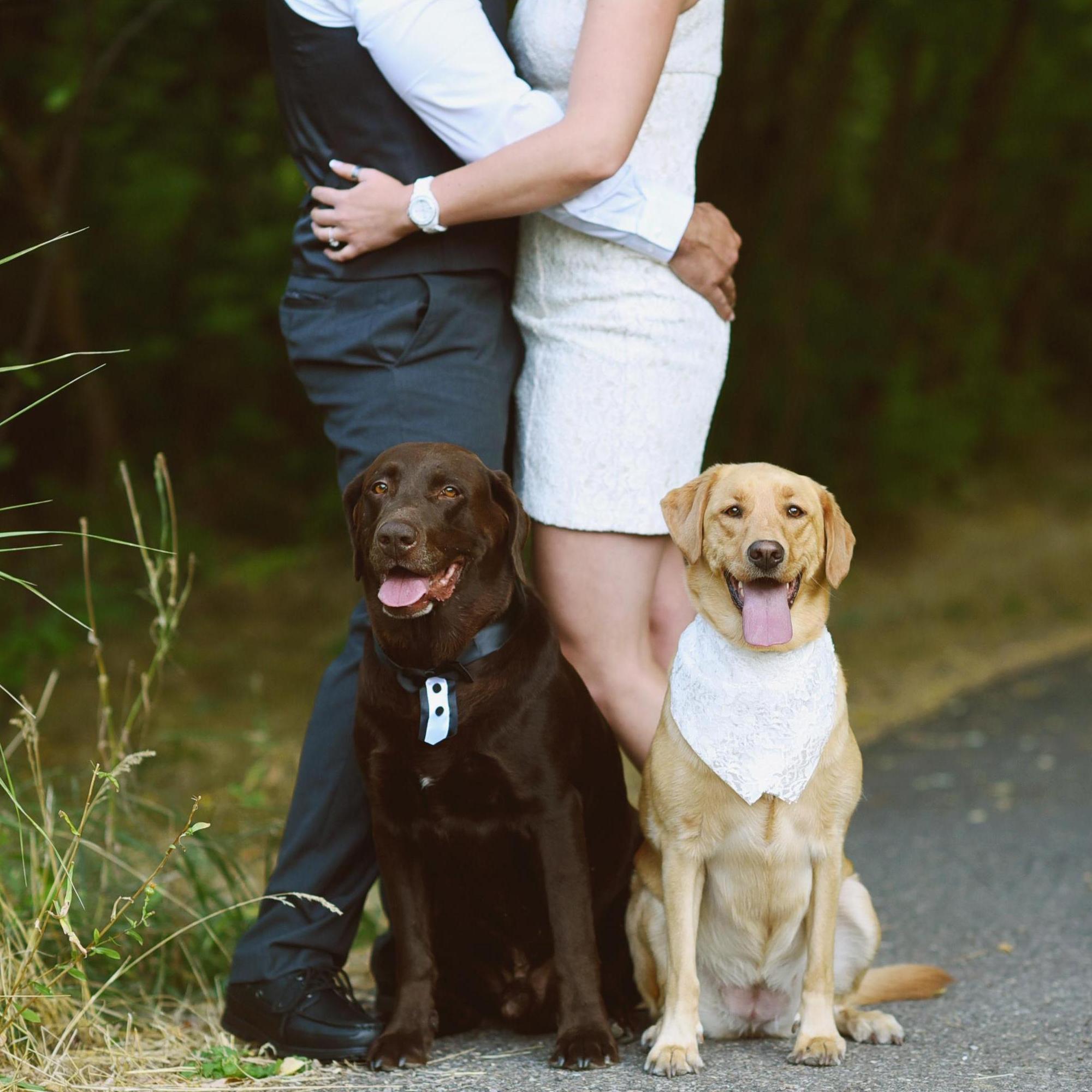 Our fur babies