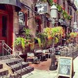 White Dog Cafe - University City