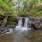 Wildcat Conservation Area