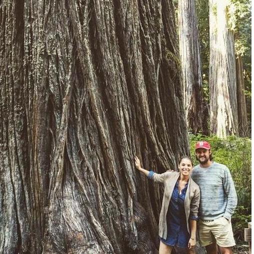 Redwood National Park. June 2016.