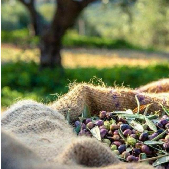 Naxos Mediterranean Food Tour