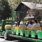 $35 (No Walking tour) Bus Tour of Yosemite Valley