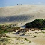 Jockey's Ridge State Park