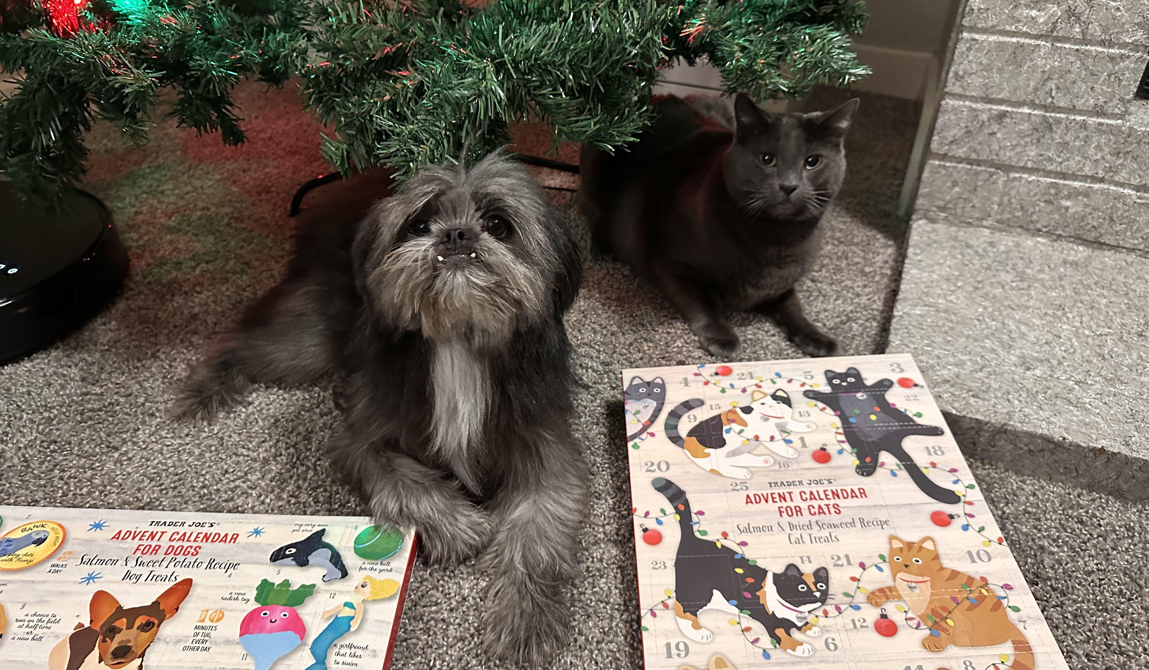 Hero Slideshow Image 4