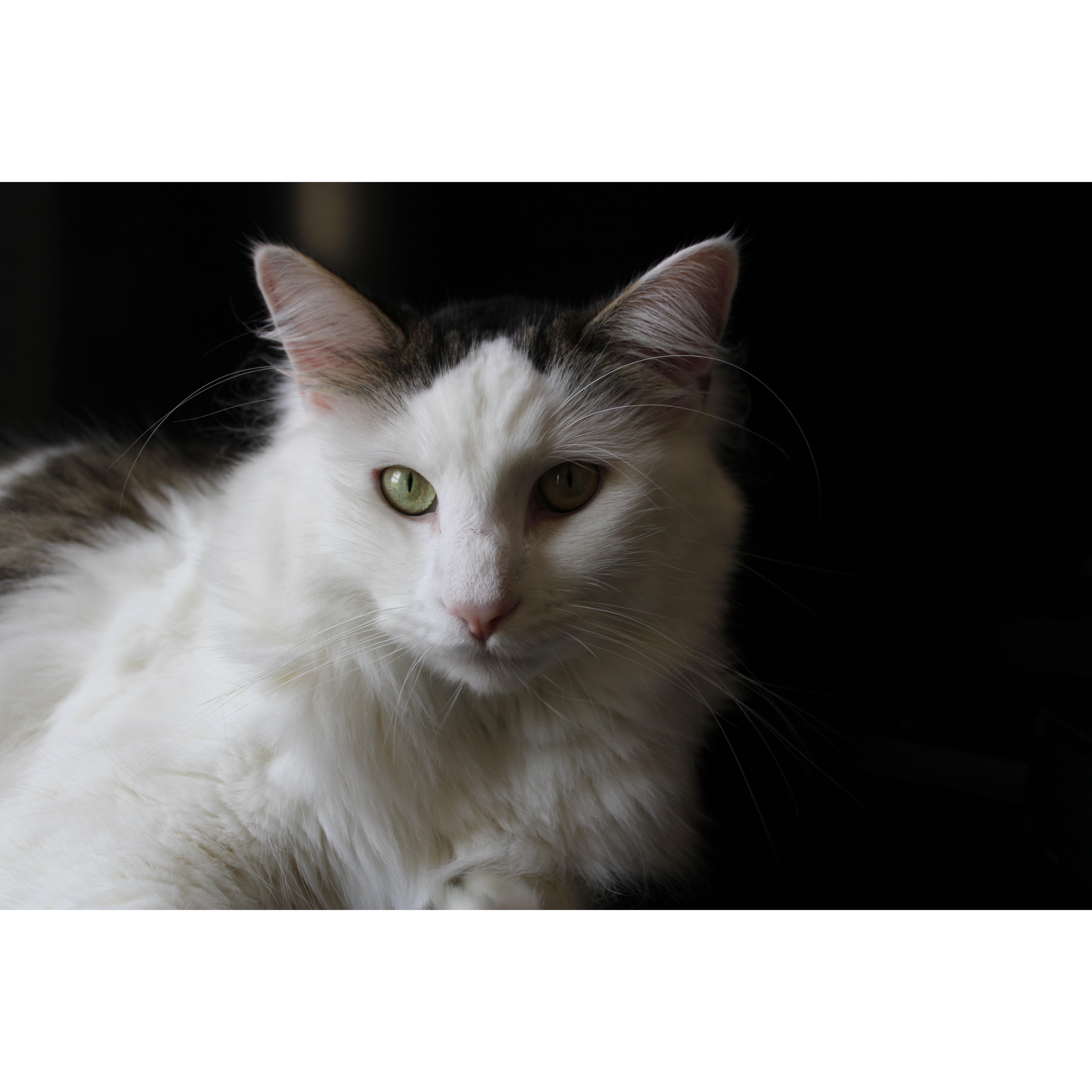 Duncan