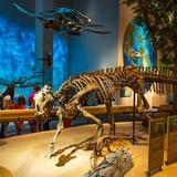 Perot Museum of Nature and Science