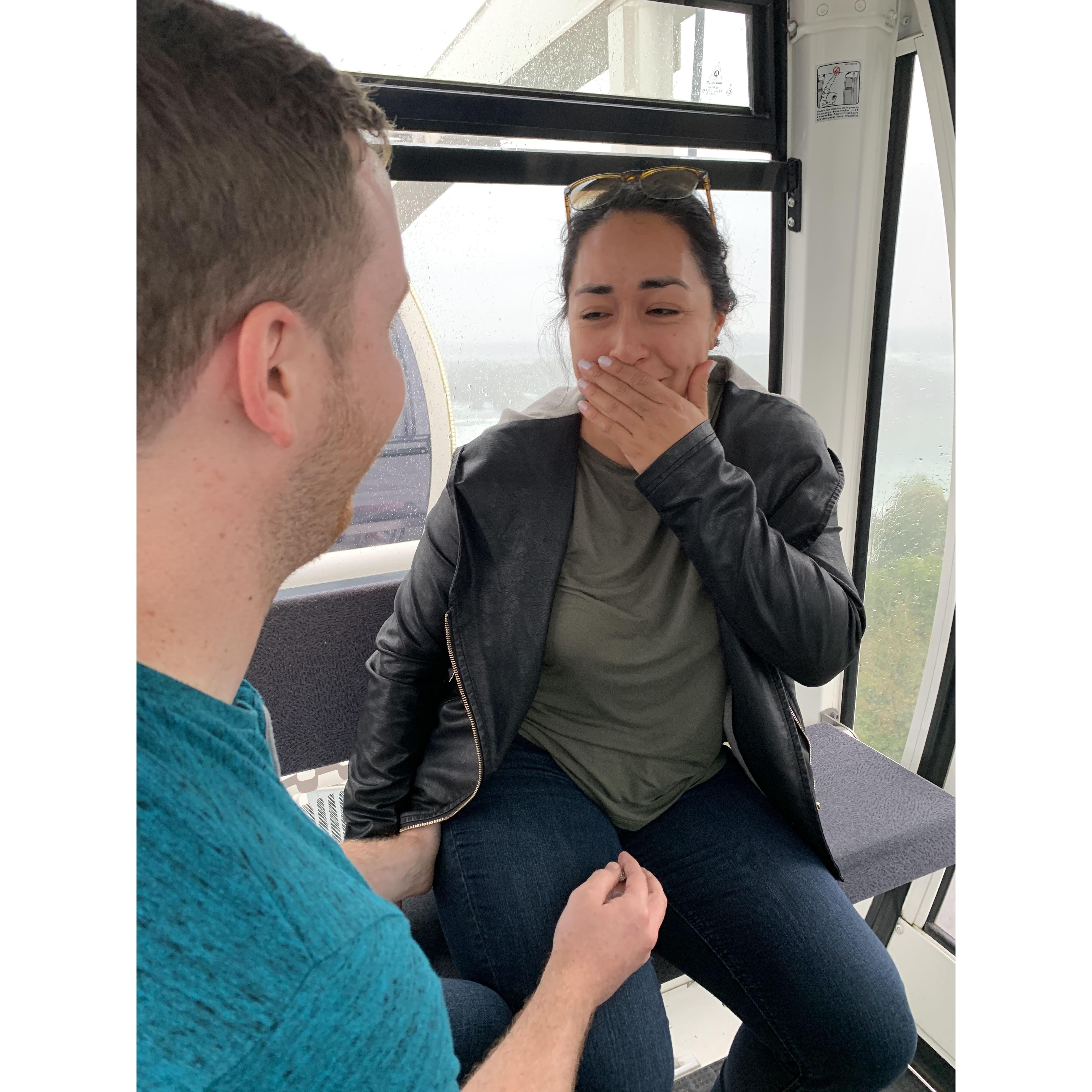 The proposal! And uncontrollable crying for the next 8 hours.