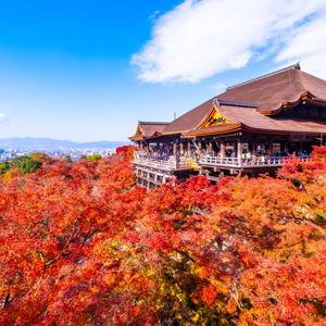 Japan ハネムーン (Honeymoon) Fund