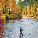 Fishing