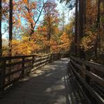 Saunders-Monticello Trail