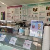 Screaming Cat Ice Cream & Coffee