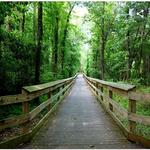 Cape Fear River Trail