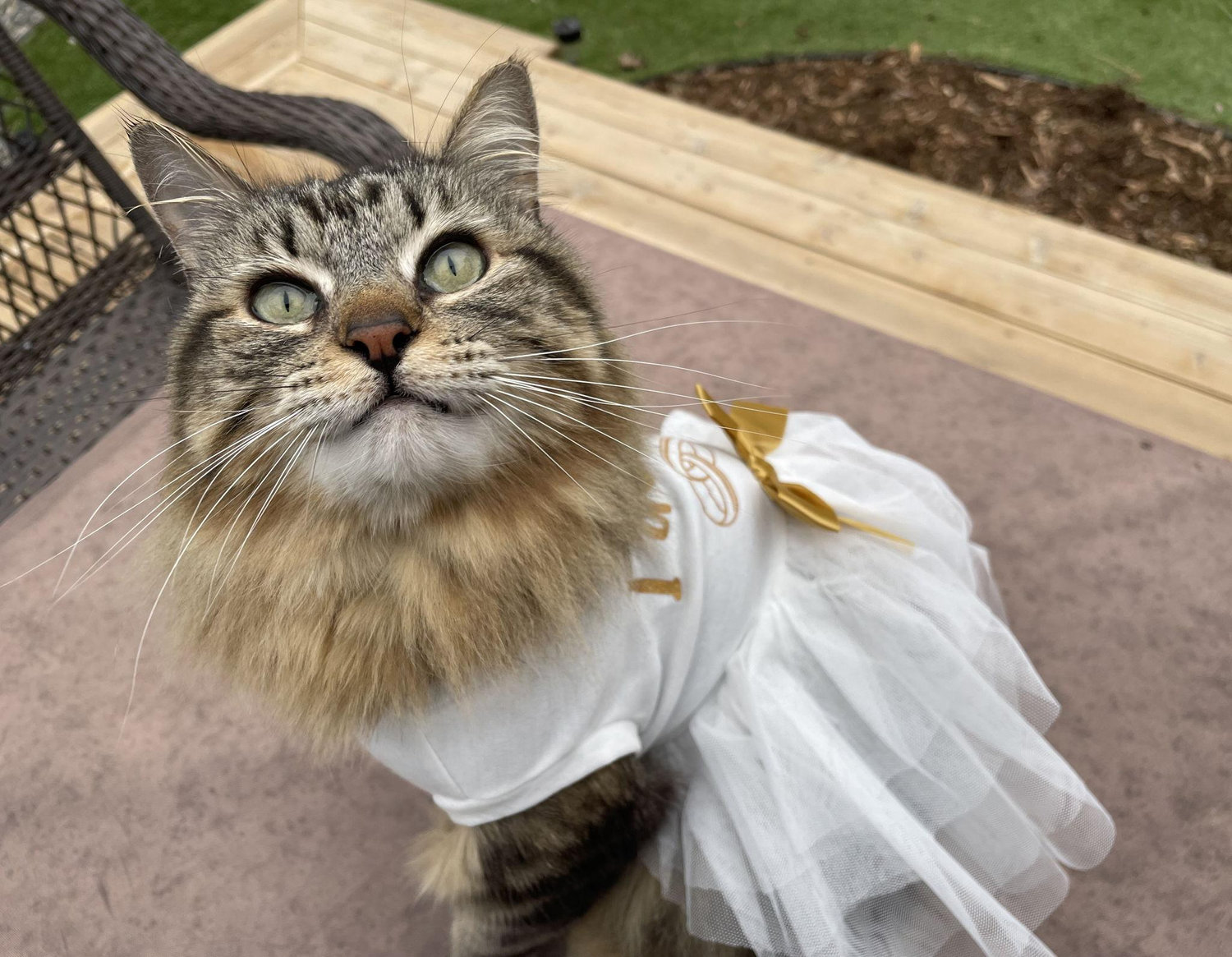 The Wedding Website of Kela Bergren and Josh Stepka