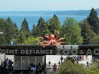 Point Defiance Zoo & Aquarium