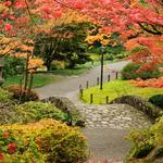 Washington Park Arboretum UW Botanic Gardens