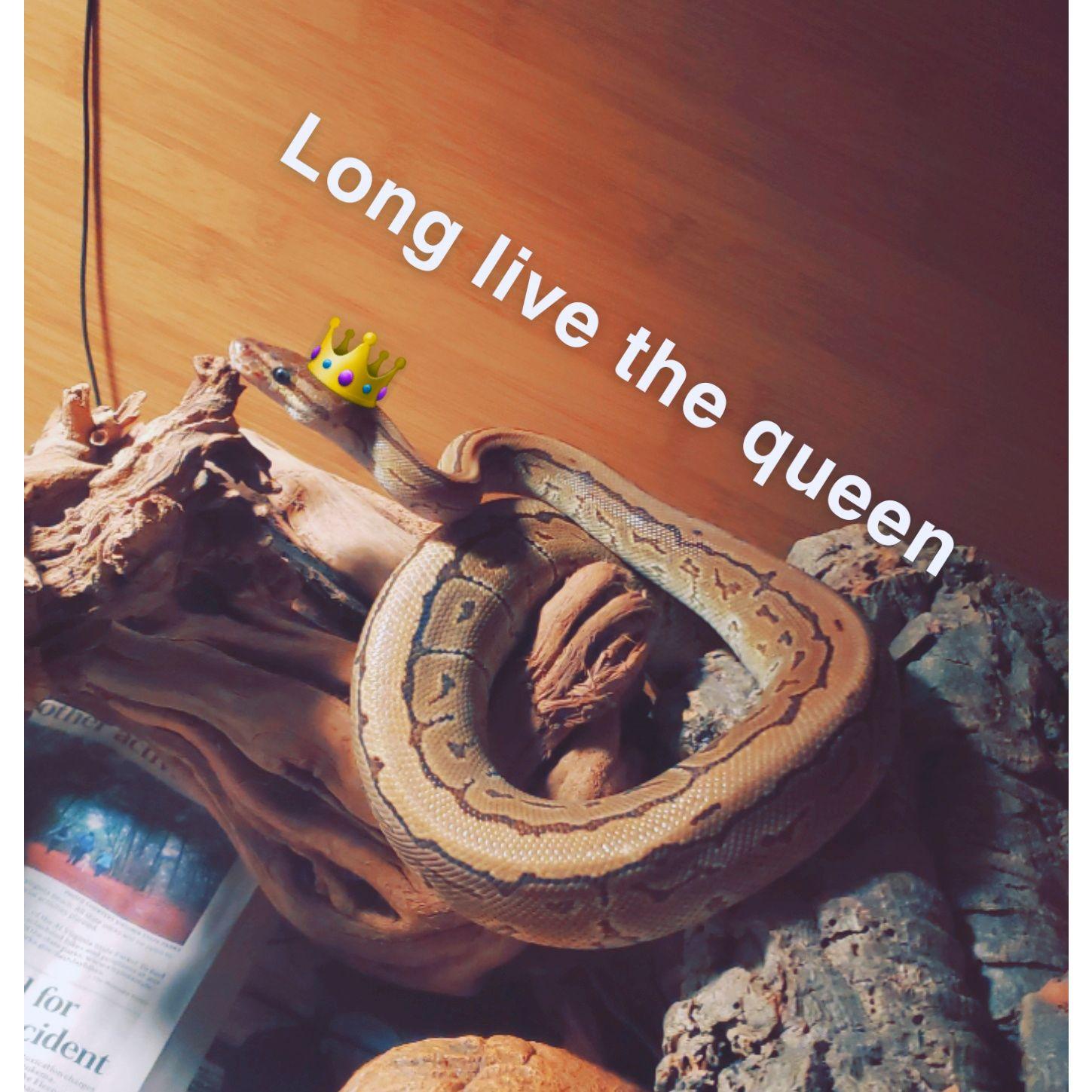 long may she reign
