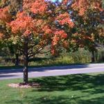 Waterford Oaks Waterpark