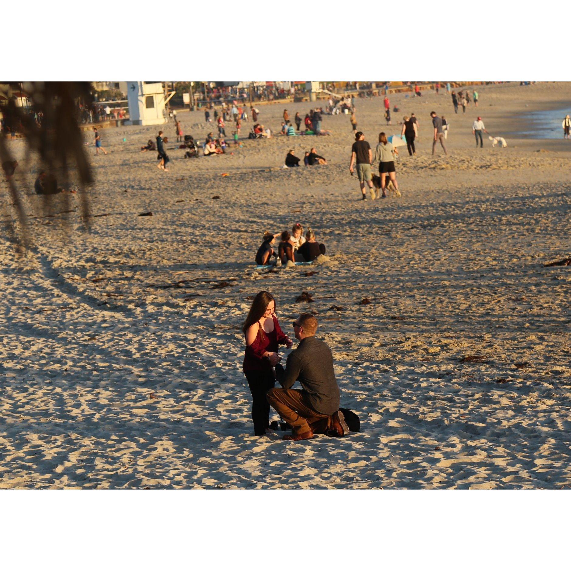 THE PROPOSAL