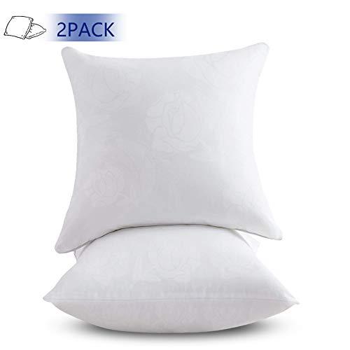 Emolli Decorative Pillow Insert 2 pack. 18*18 throw pillow