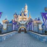 Disneyland Park