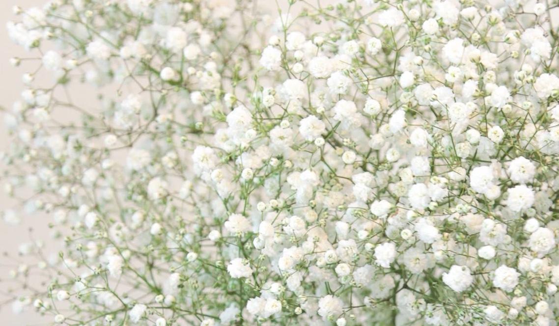 The Wedding Website of Jenna Jones and Nick Martin