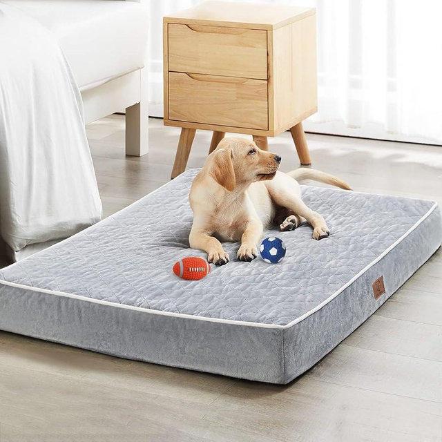 WNPETHOME Orthopedic Dog Beds for Large Dogs, Extra Large Waterproof Dog Bed with Removable Washable Cover & Anti-Slip Bottom, Egg Crate Foam Pet Bed Mat