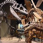 Denver Museum of Nature & Science
