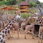 Cheyenne Mountain Zoo