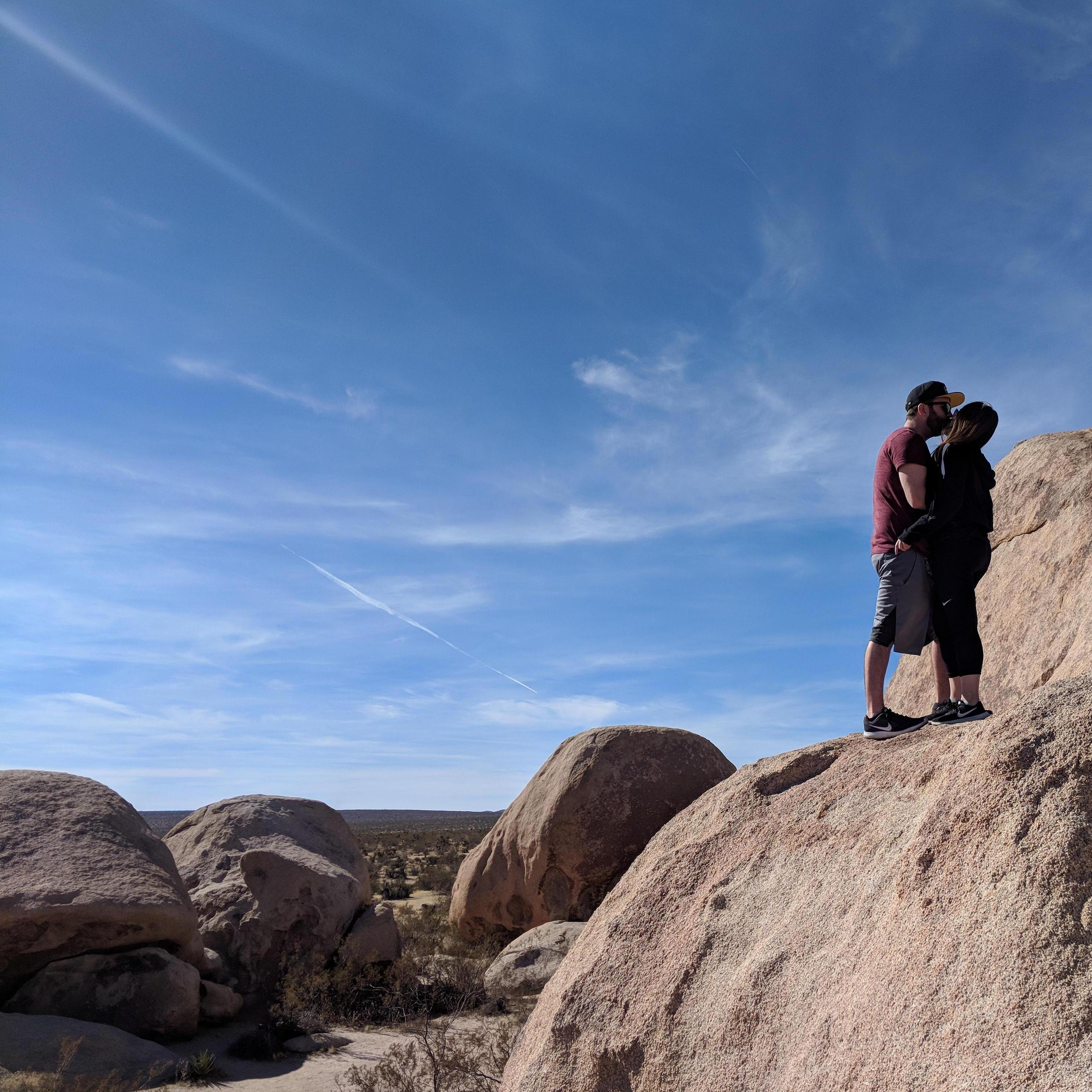 Joshua Tree, 2017.