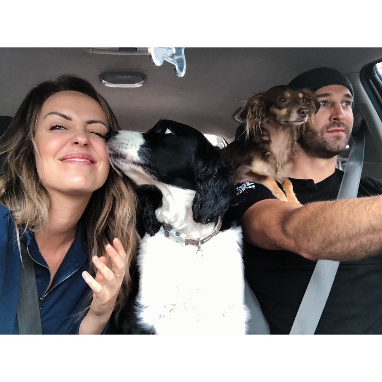 Our summer road trip around the peninsula with the pups