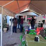 Gorditas Lupita y Jugos Naturales