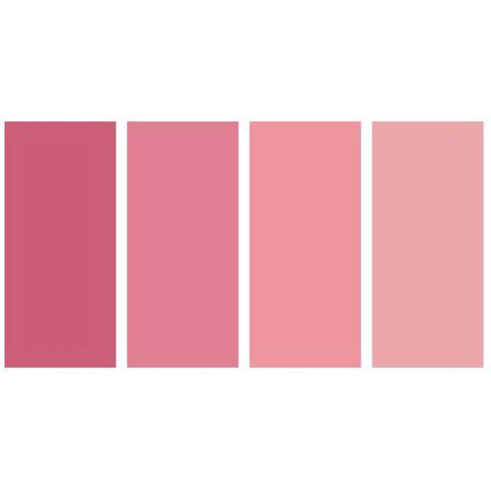 Women's Color Palette