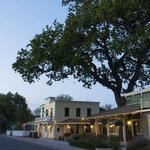 Los Olivos