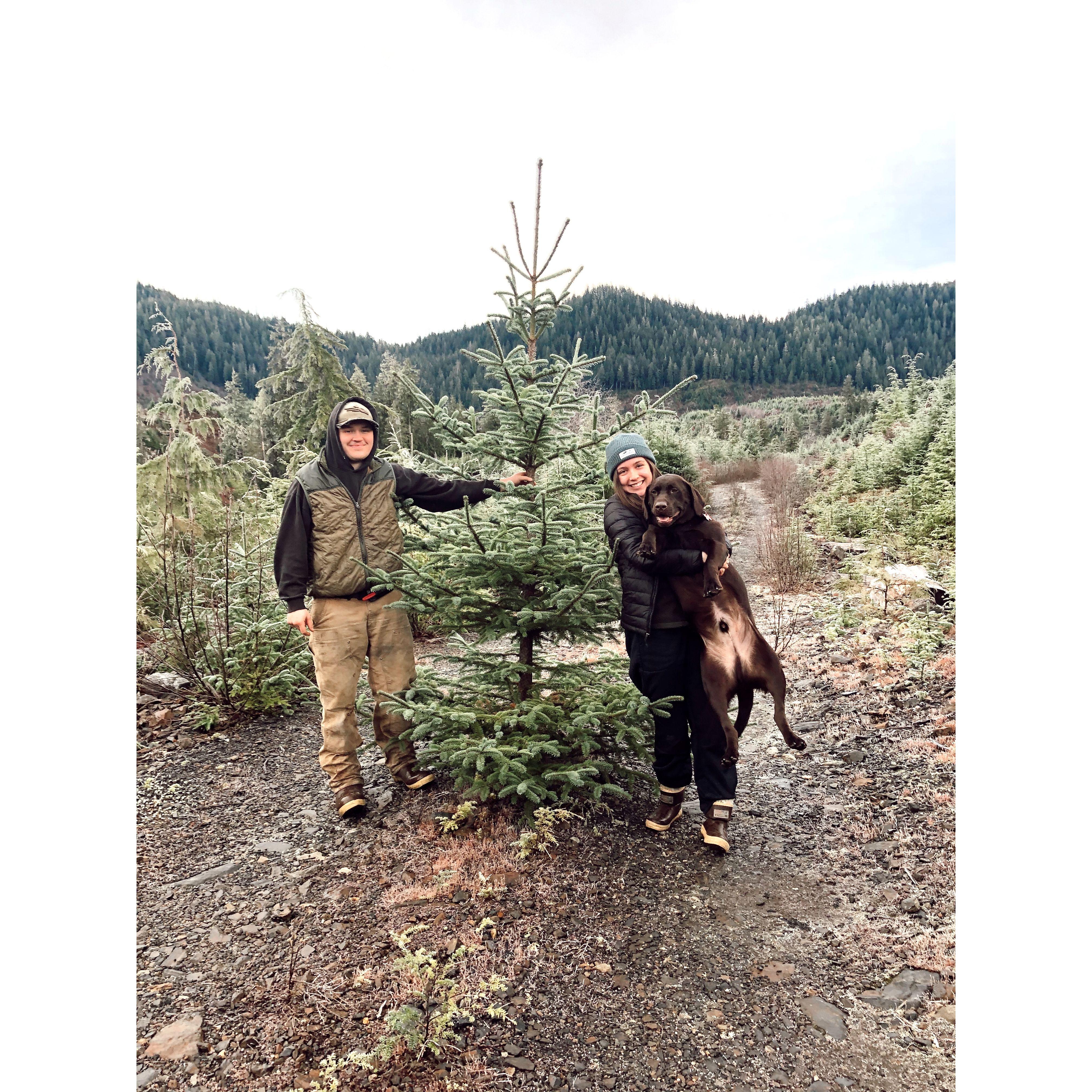 Christmas Tree Hunting - 2020