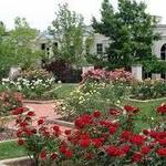 Birmingham Botanical Gardens