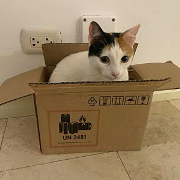 Cama para Remedios