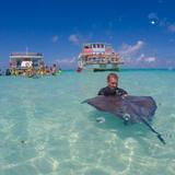 Stingray city