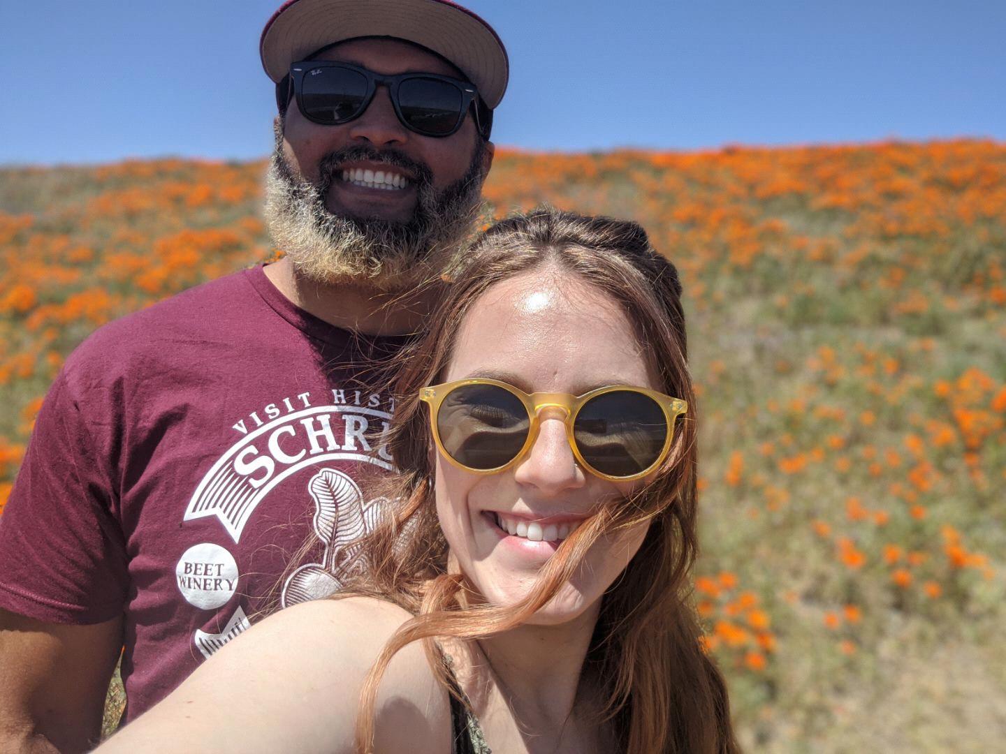 California Poppies