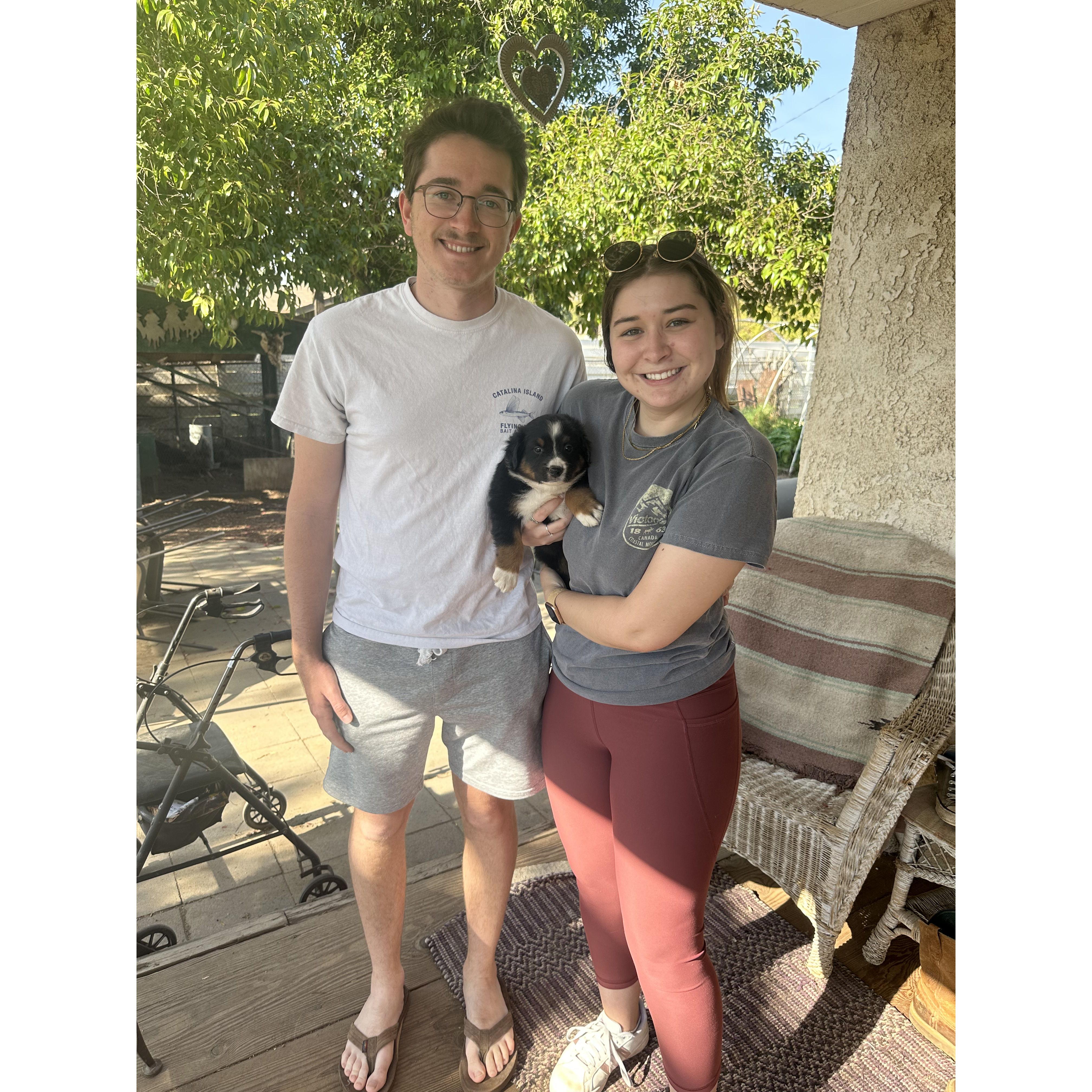 Emily and Ben both graduated college in Spring of 2023 and decided to adopt a dog together, Georgia, the mini aussie! She was the perfect addition to the new family.