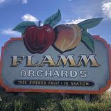 Flamm Orchards