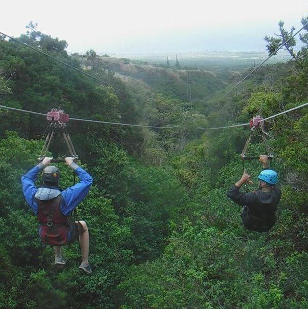 Zip lining in Maui