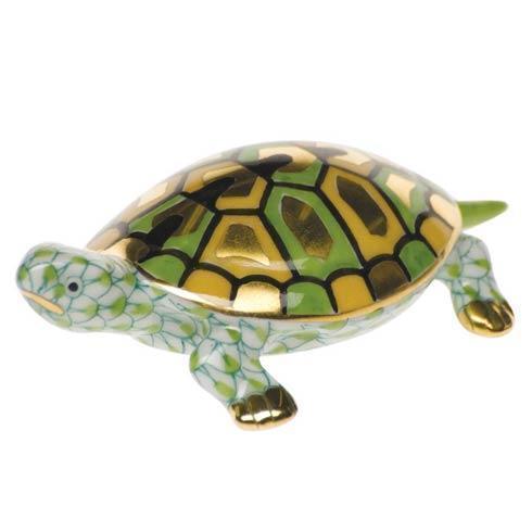 Baby Turtle Key Lime