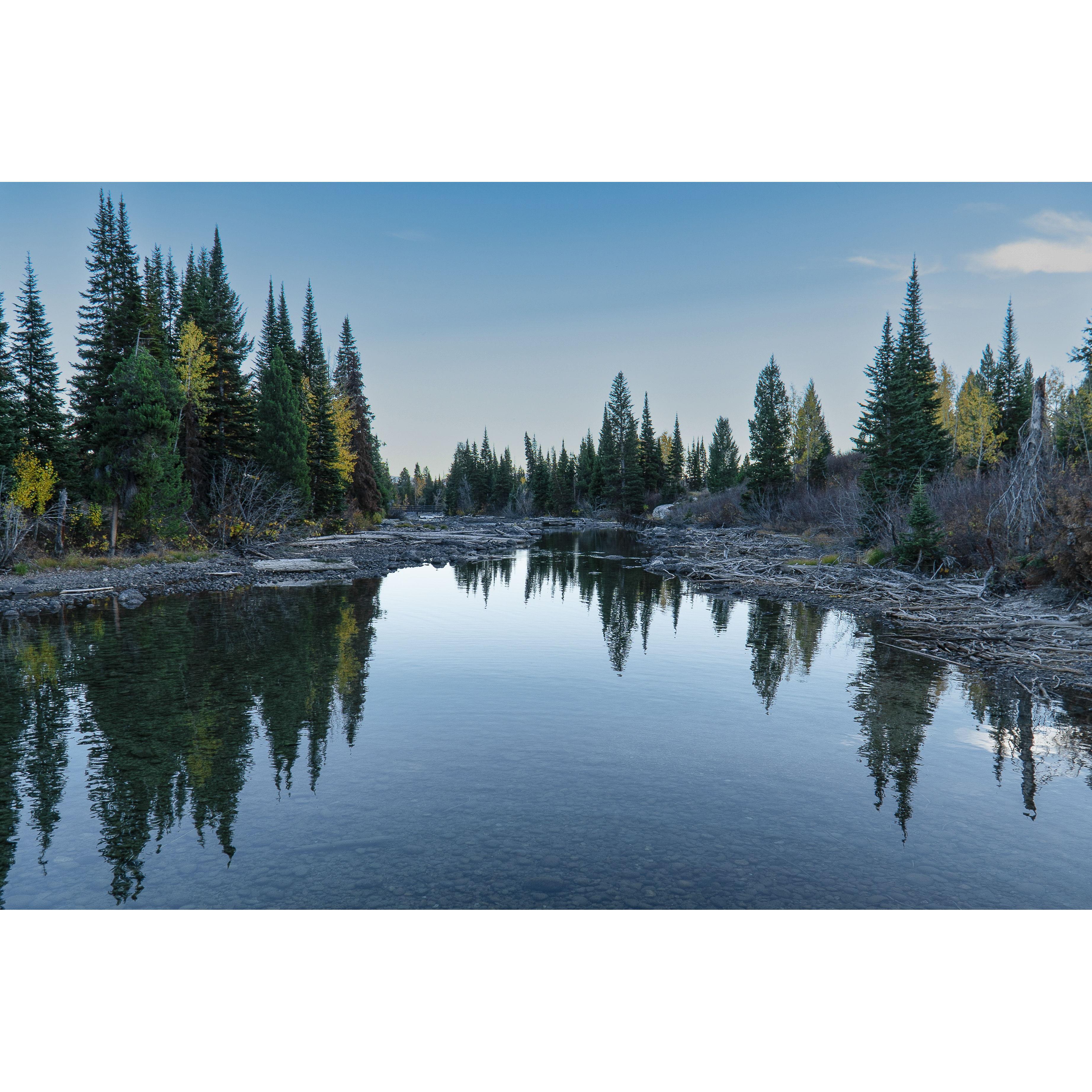South Yellowstone
