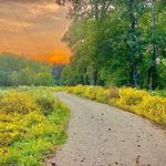 Cascade Valley Metro Park-Valley View Area