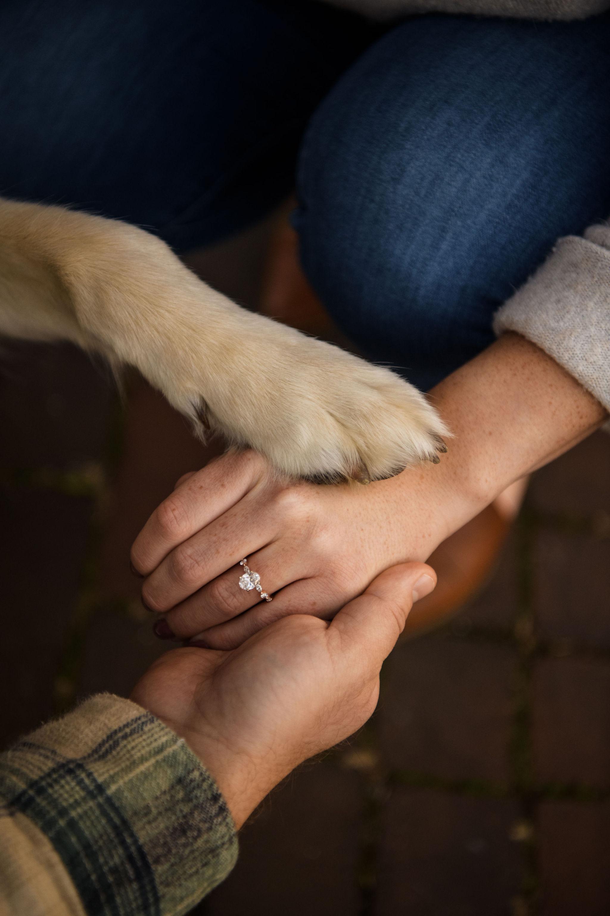 The Wedding Website of Emily Schmitz and Cameron Ball