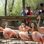 Alexandria Zoological Park