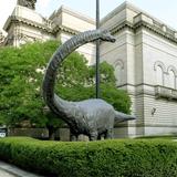 Carnegie Museum of Natural History/Art