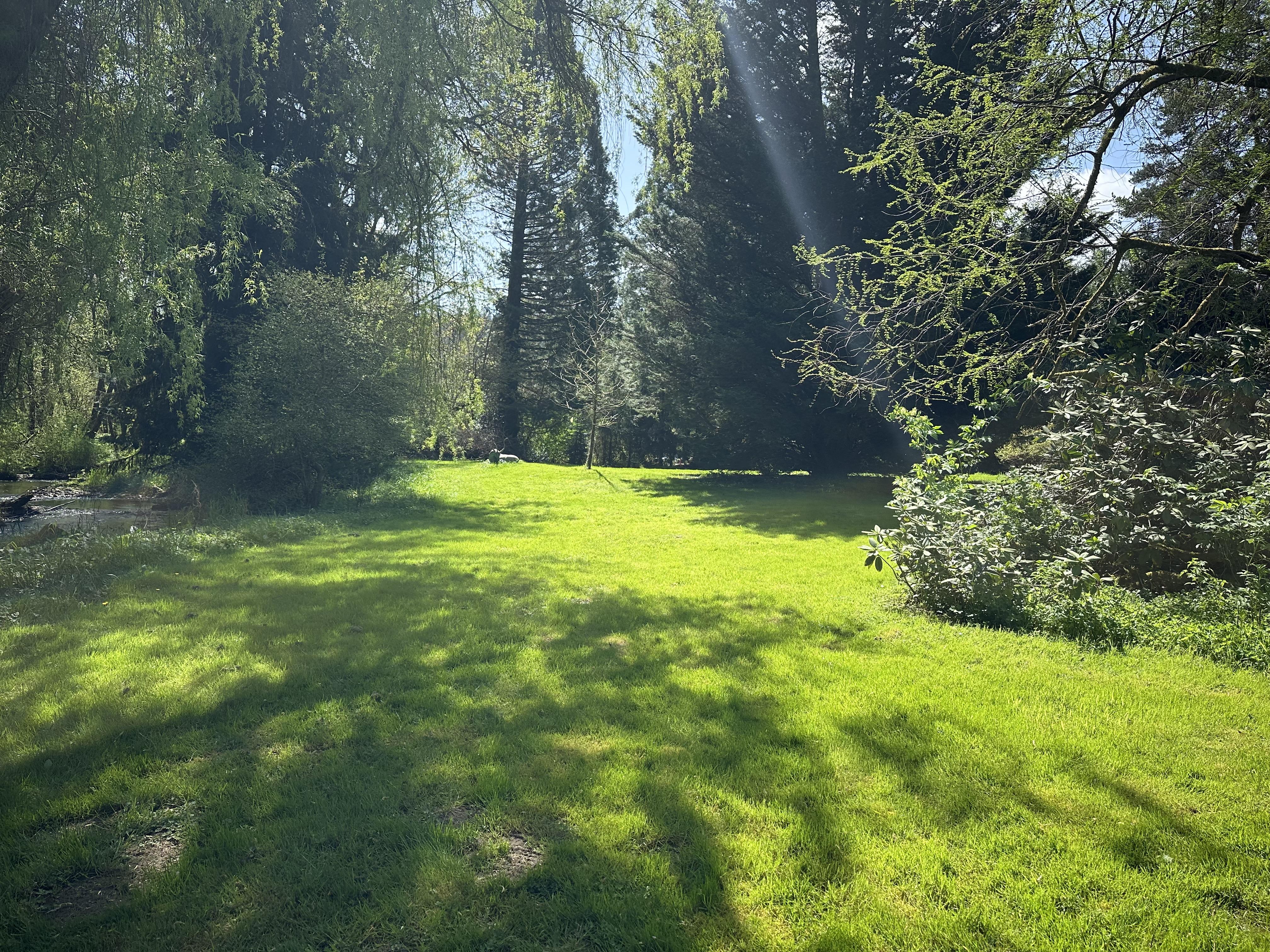 The Wedding Website of Zach Farris and Jennie Lingar