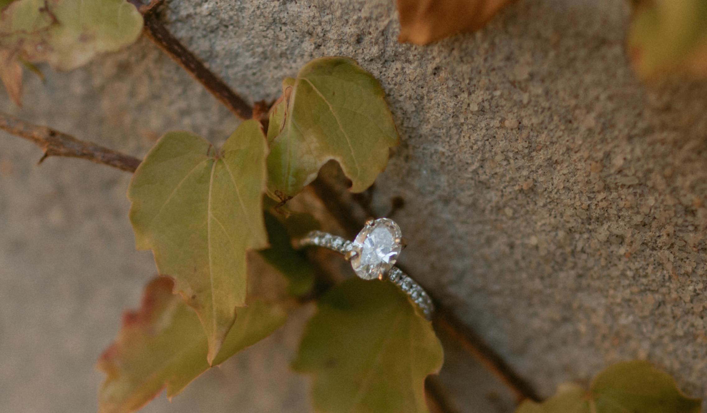 The Wedding Website of Lizzie Morgan and Logan Holbrook