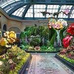 Bellagio Conservatory & Botanical Gardens